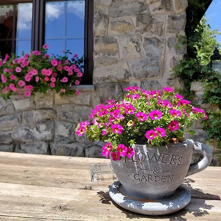 Apartma Alpski Vrt *