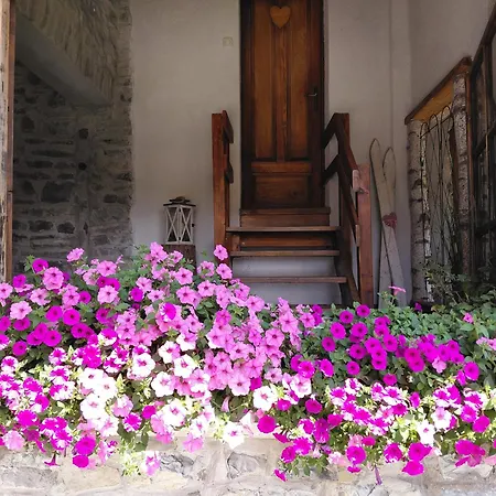 Apartma Alpski Vrt Vojsko