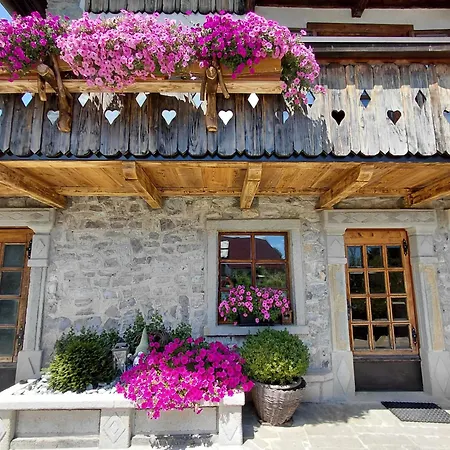 Appartement Apartma Alpski Vrt Vojsko