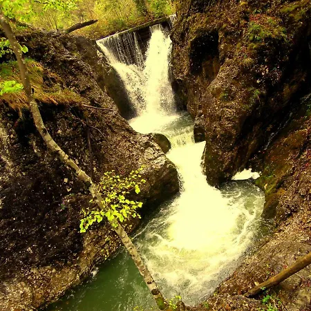 Apartma Alpski Vrt Appartement