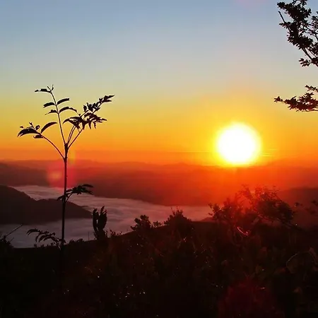 Apartma Alpski Vrt Appartement Vojsko