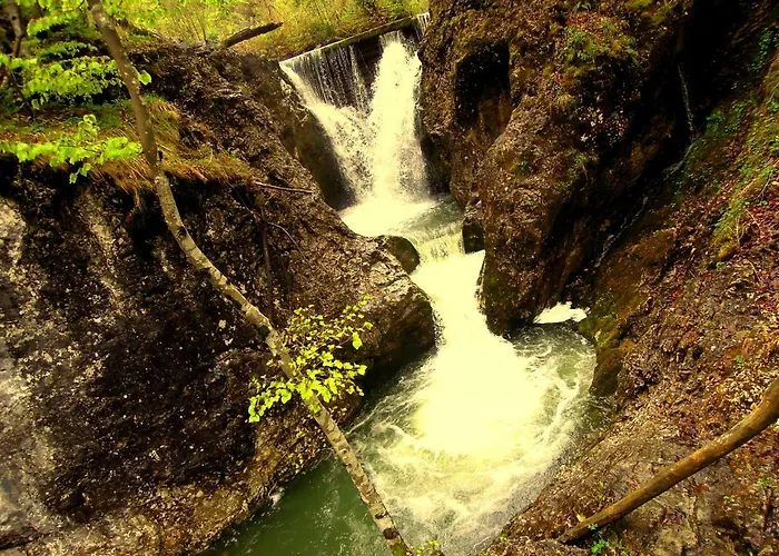 Apartma Alpski Vrt Apartamento