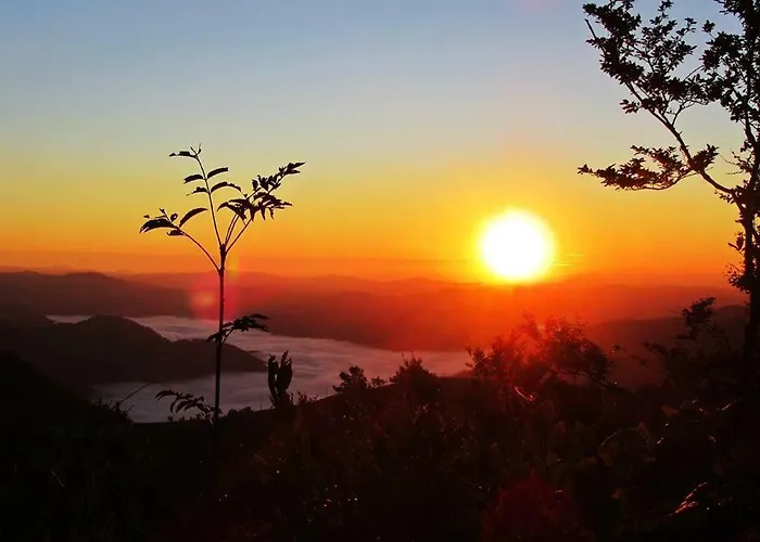 Apartma Alpski Vrt Apartamento Vojsko